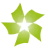 SES Logo